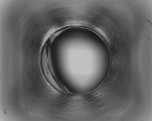 X0000097761472200803141712