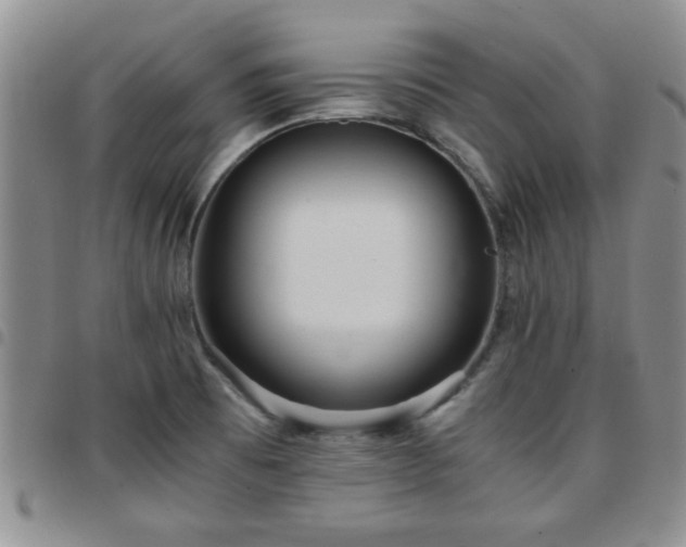 X0000097761473200803141712