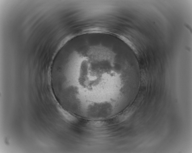 X0000097761474200803141712