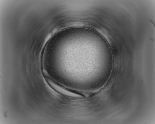 X0000097761475200803141712