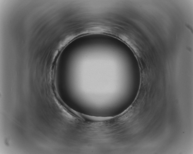 X0000097761477200803141712