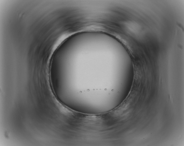 X0000097761478200803141712