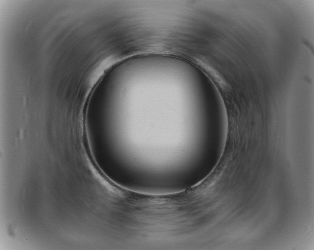 X0000097761479200803141712