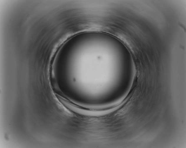 X0000097761480200803141712