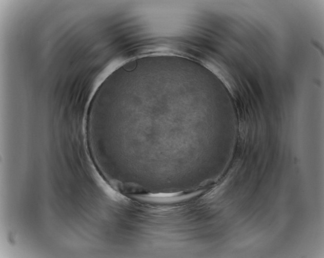 X0000097761482200803141712