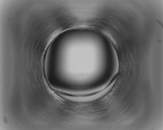 X0000097761483200803141712