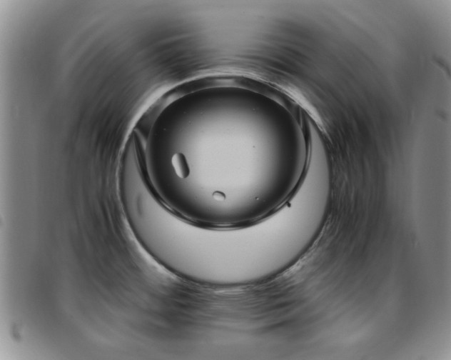 X0000097761484200803141712