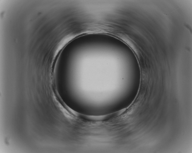 X0000097761485200803141712