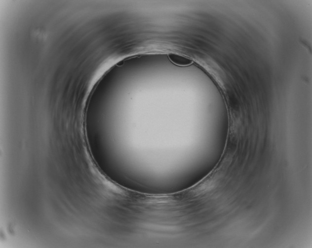 X0000097761486200803141712