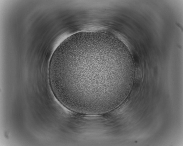 X0000097761487200803141712