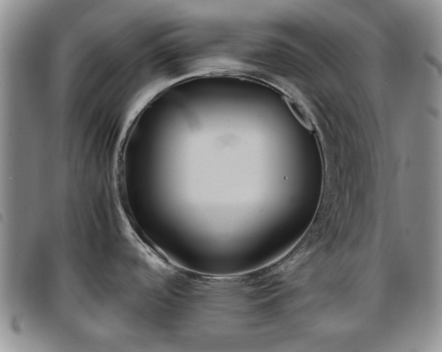 X0000097761488200803141712