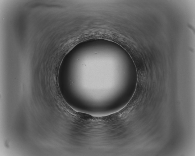 X0000097761489200803141711