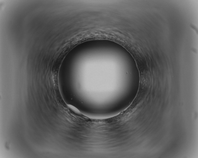 X0000097761490200803141711