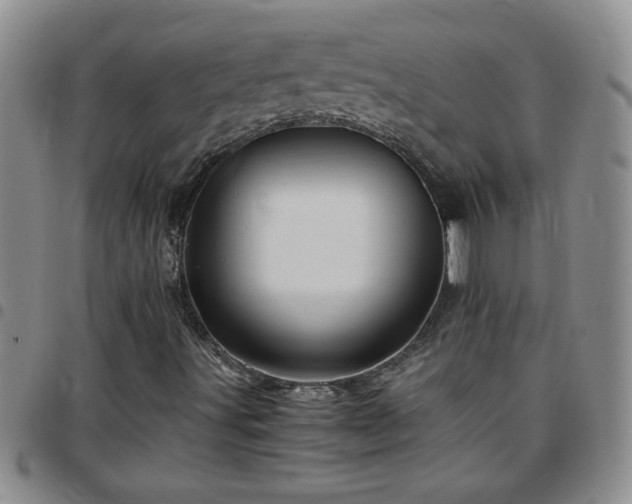 X0000097761491200803141711