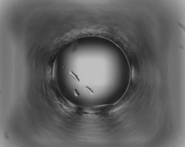 X0000097761492200803141711