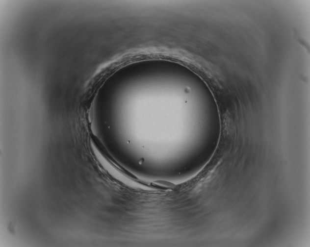 X0000097761494200803141712