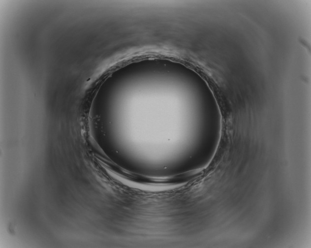 X0000097761496200803141712