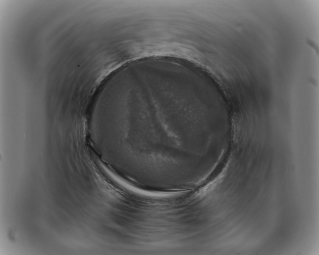 X0000097761497200803141712