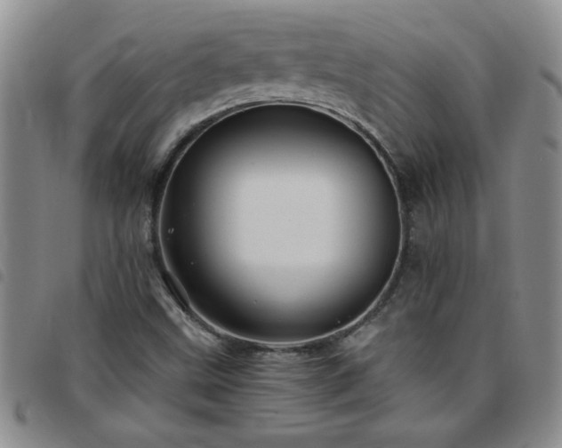 X0000097761499200803141712