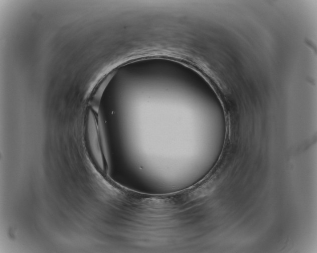 X0000097761500200803141712