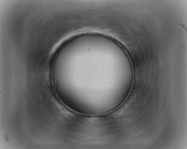 X0000097761502200803141712