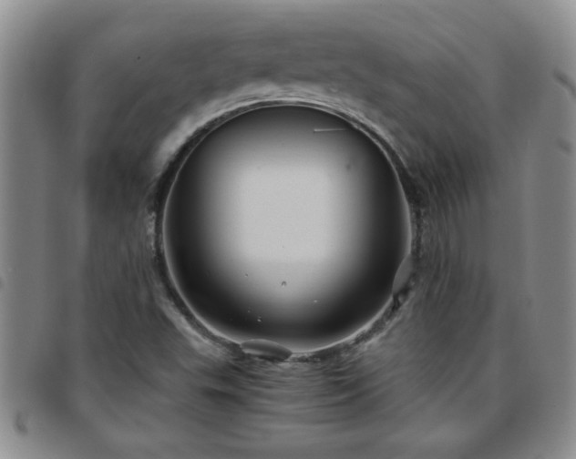 X0000097761503200803141712