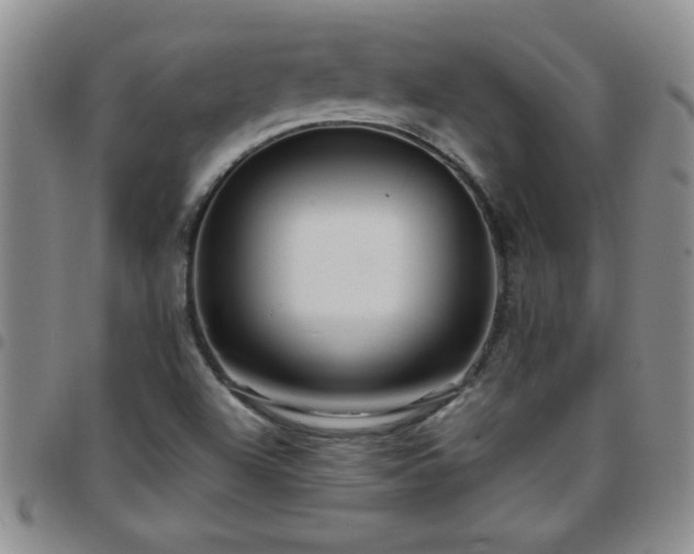 X0000097761504200803141712