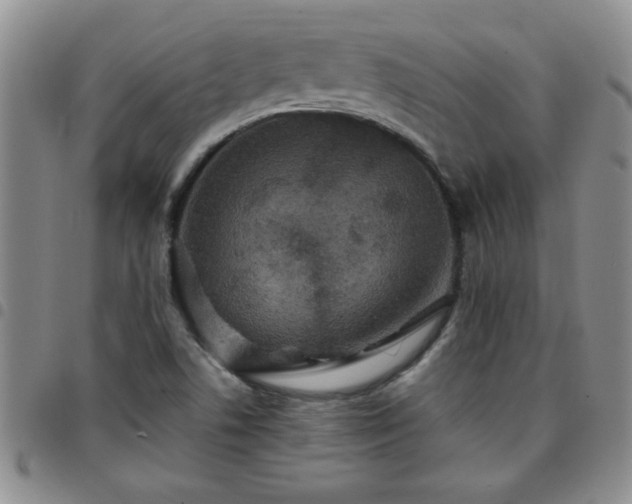 X0000097761506200803141712