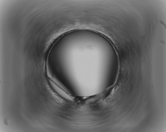 X0000097761507200803141712