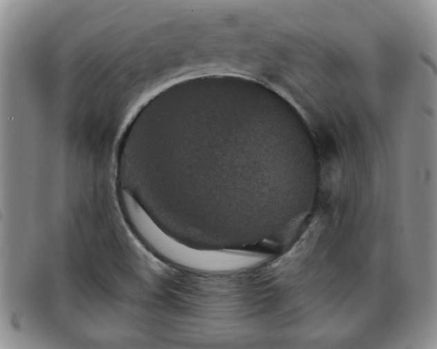 X0000097761508200803141712