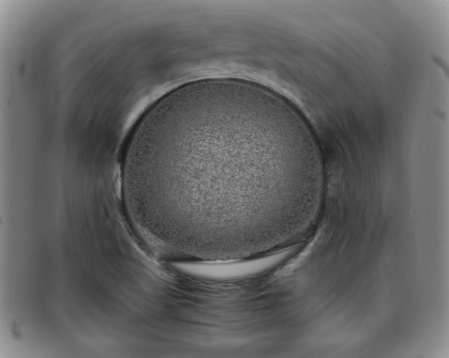 X0000097761509200803141712