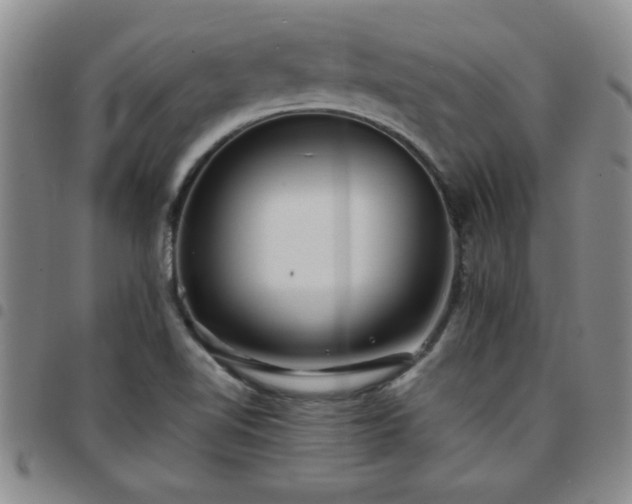 X0000097761510200803141712