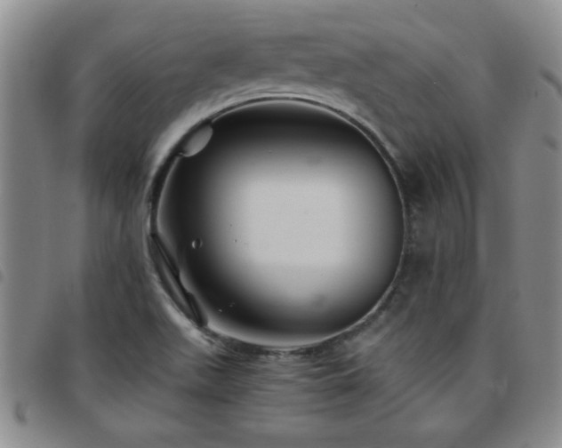 X0000097761511200803141712