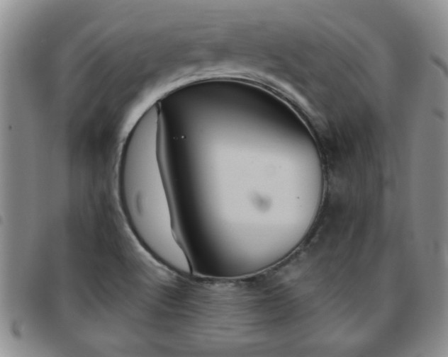 X0000097761512200803141712