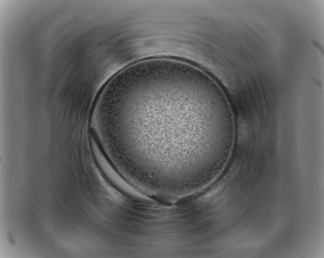 X0000097761513200803141712