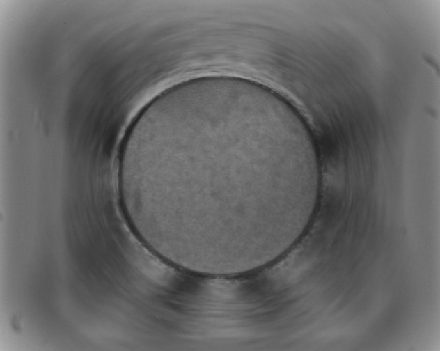 X0000097761514200803141712