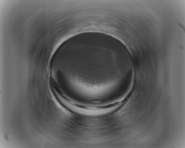 X0000097761515200803141712