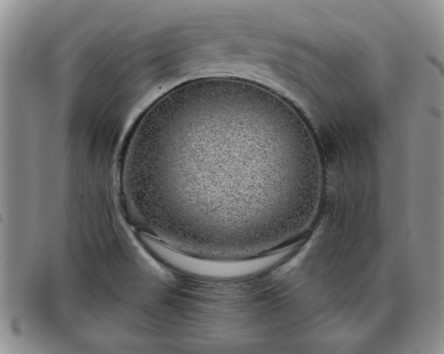 X0000097761517200803141712