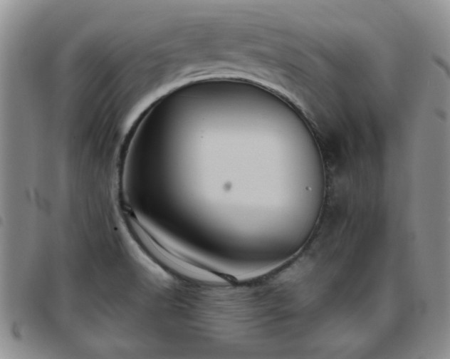 X0000097761518200803141712