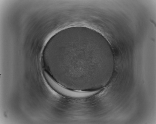 X0000097761519200803141712