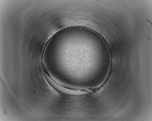 X0000097761521200803141712