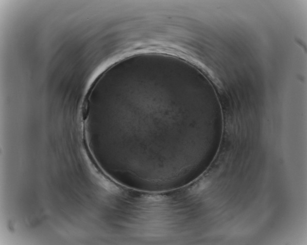 X0000097761522200803141712