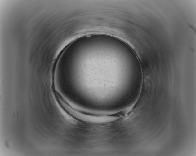 X0000097761523200803141712