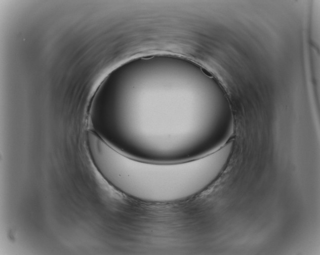 X0000097761524200803141712