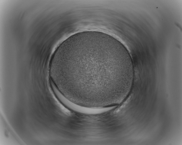 X0000097761525200803141712