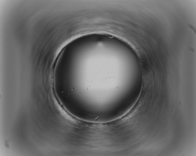 X0000097761526200803141712