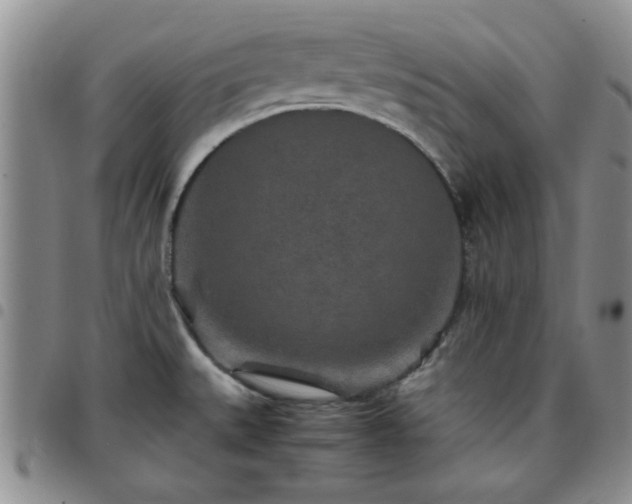 X0000097761527200803141712