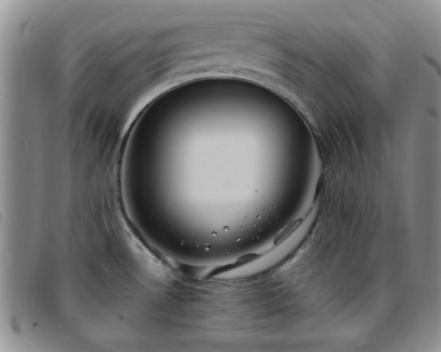 X0000097761530200803141712