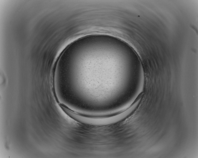 X0000097761531200803141712