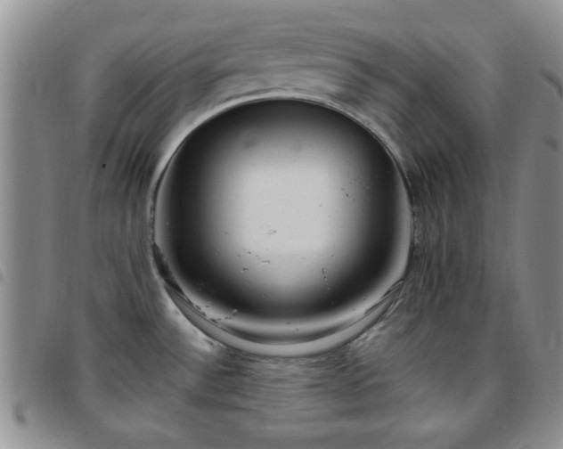 X0000097761532200803141712